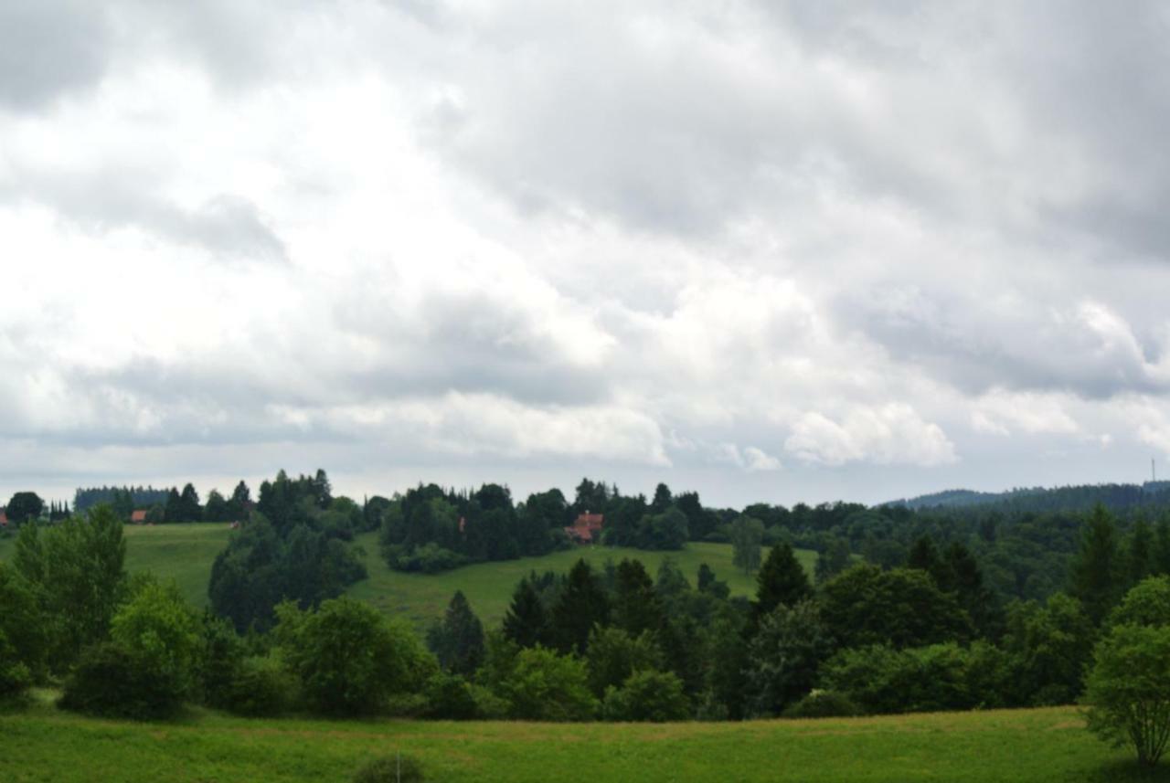 Ferienwohnung Harz-Flair 264 Hohegeiß 外观 照片