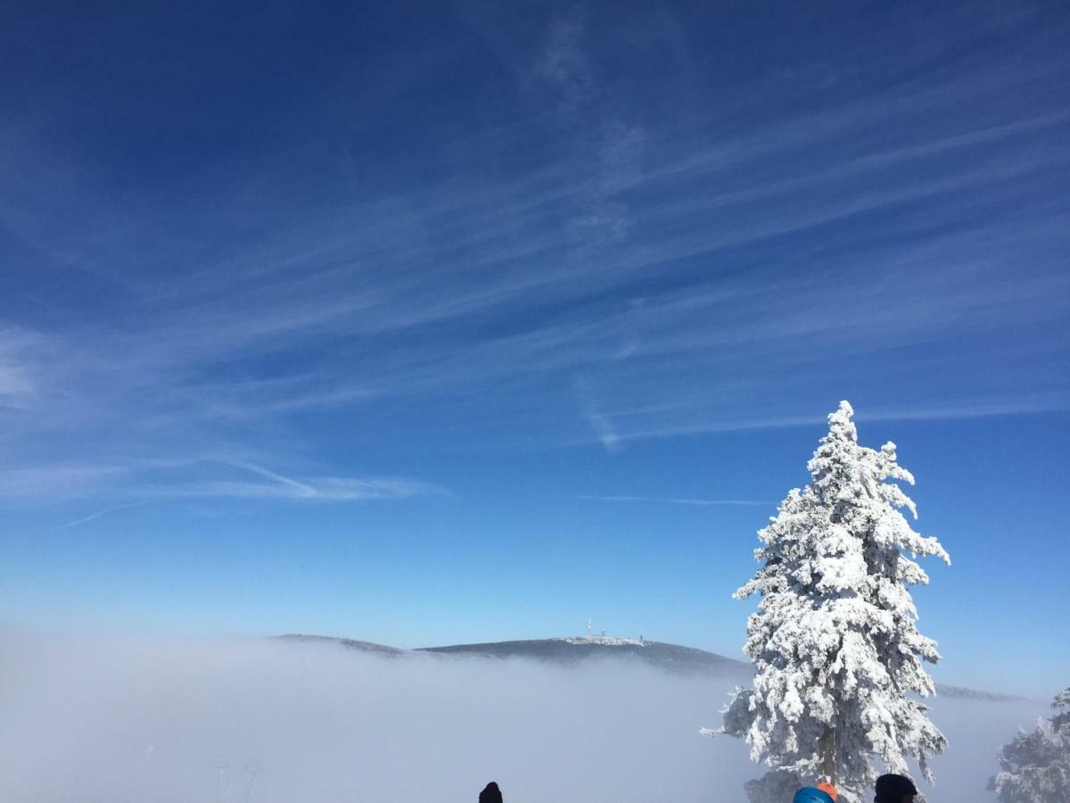 Ferienwohnung Harz-Flair 264 Hohegeiß 外观 照片